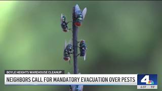 Boyle Heights residents demand change after NBC4 Investigates' reporting on fly infestation