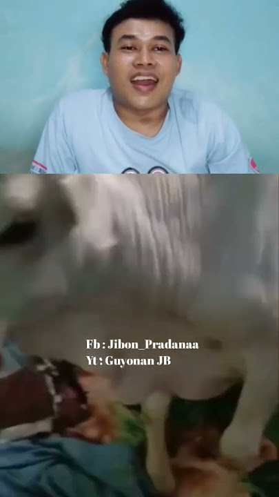PENGEN NGERASAIN DI KASUR | #trending #shortvideo #shorts #reels #viralvideo #viral #funny #fypシ