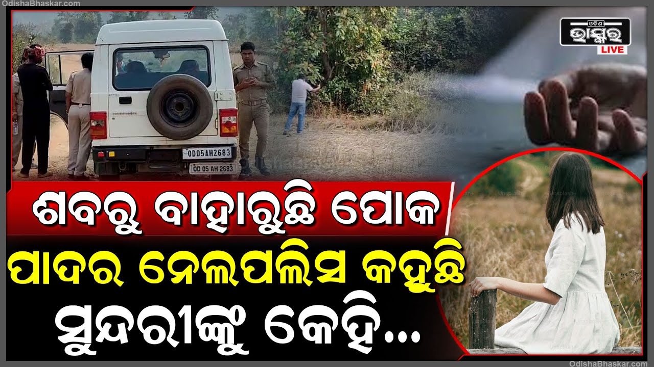 ଜଙ୍ଗଲରୁ ମିଳିଲା ଦରପୋଡା କଙ୍କାଳ, ପୋକ ସାଲୁବାଲୁ କଙ୍କାଳ ଧରି ପରିଚୟ ଖୋଜୁଛି ପୋଲିସ