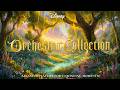 Disney Orchestra Playlist in Magical Forest 🌳 Soft Melodies for Relaxing Time