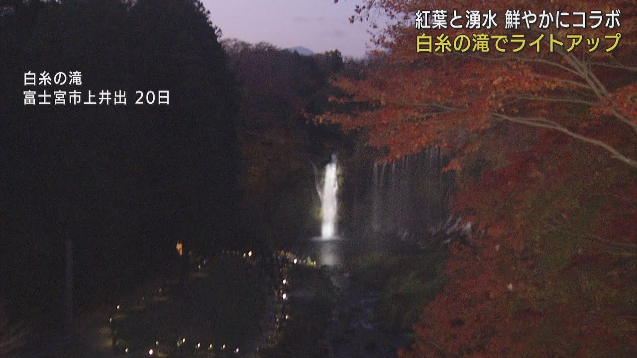 紅葉と湧水のコラボ 白糸の滝 でライトアップ 静岡 富士宮市 Look 静岡朝日テレビ