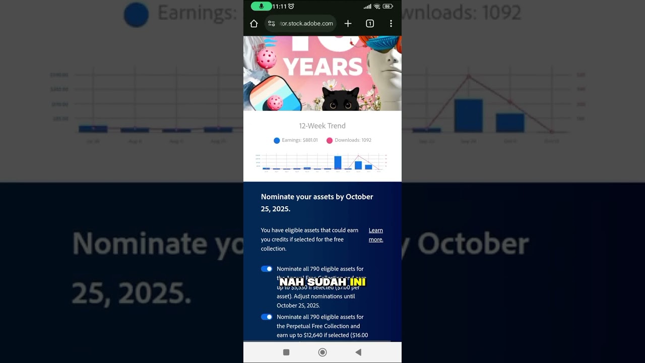 Rahasia Sukses Free Asset Kontributor Adobe Stock Indonesia dengan Penghasilan Mengagumkan