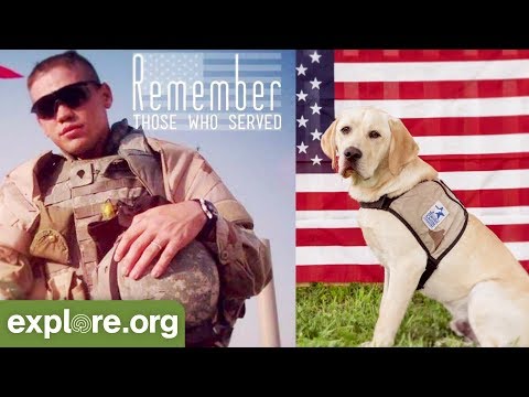 Warrior Canine Connection Memorial Day Tribute