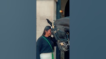 HORSE DISPLAYS HEAD TO HEAD AFFECTION? ✨🐎 | Horse Guards, Royal guard, Kings Guard, Horse, London