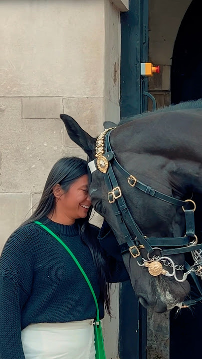 HORSE DISPLAYS HEAD TO HEAD AFFECTION? ✨🐎 | Horse Guards, Royal guard, Kings Guard, Horse, London