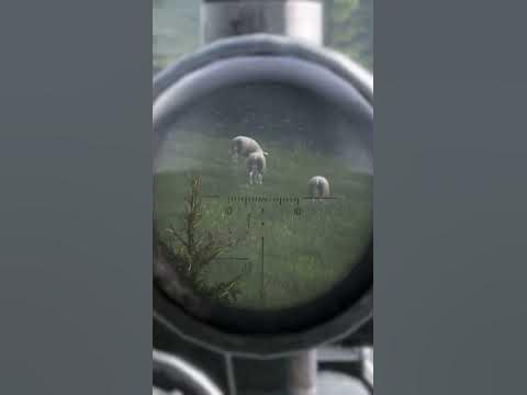 Большие ДОЙКИ - YouTube