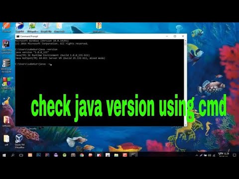 How to check Java version in Windows 10 in just two steps - YouTube