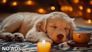 12 Hours Puppy Sleep Music 🎵 Relaxing Music For Dogs - Calm Dog Music 💖 No Ads