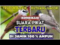 MP3 SUARA PIKAT TRUCUK KUTILANG AMPUH