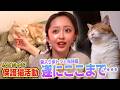 【みりちゃむ家】新入りの保護猫たくあんとメンマの人なれが進んで遂にここまで・・・（嗚呼!!みんなの動物園）
