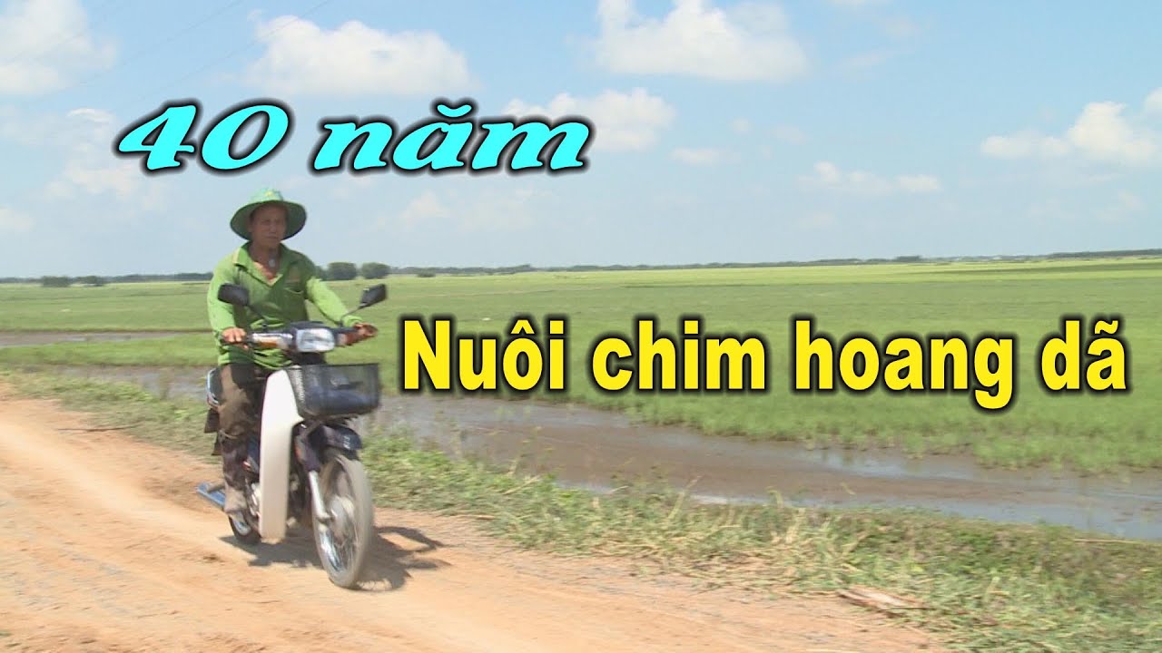 Thú vị nghề nuôi chim hoang dã ở đồng bằng sông Mekong