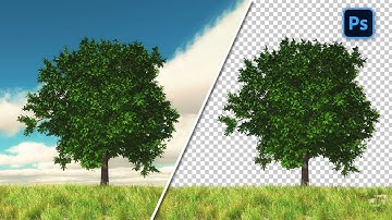How to Remove Tree Background  in Adobe Photoshop | Photoshop Beginner Tutorial