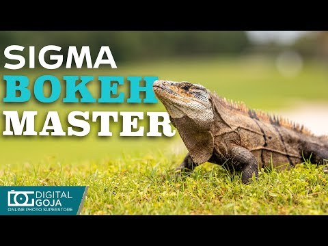 Новый удивительный объектив SIGMA 105 мм F1.4 для художественных портретов