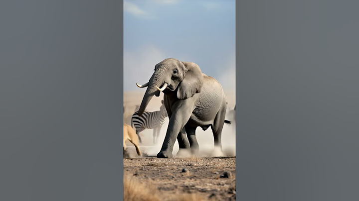 🐘 Strong Elephant Defends the Zebras #wildlife