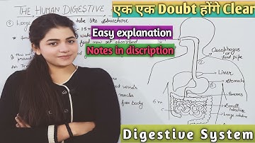 Human Digestive System | मानव पाचन तंत्र | Full And Easy Explanation | Life Process | Class 10th