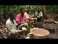 Curbing Deforestation: Sustainable Cocoa Farming Yields Carbon Credits for Ghana