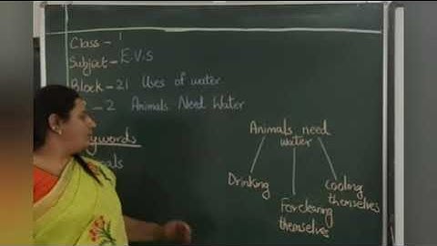 Date: 08-03-2021 Class: 1 Subject: EVS Block: 21 S2 Animals need water