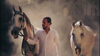 Turkish Oud & Ney – Deep Focus Instrumental Album Vol. 2 | Relaxing Study & Meditation Music