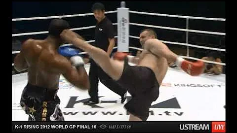 Mirko Filipovi Cro Cop vs.  Randy Blake