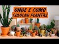 15 IDEIAS PRA COLOCAR PLANTAS EM CASA | DECORAÇÃO | Paulo Biacchi