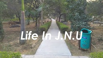 Life In J.N.U.