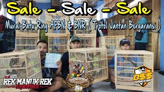 MURAI BATU HARGA MERAKYAT MATERI MEWAH DAN TROTOL JANTAN RING APBN  BNR