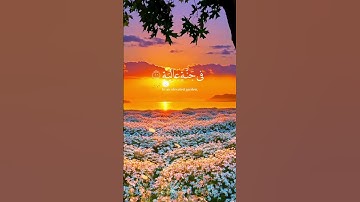 وُجُوهٌ يَوْمَئِذٍ نَّاعِمَةٌ ﴿٨﴾ | سورة الغاشية | قارئ عبد الرحمن مسعد#تلاوة_هادئة #قران_كريم