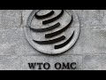 Exclusive interview with WTO Appellate Body former member Zhao Hong