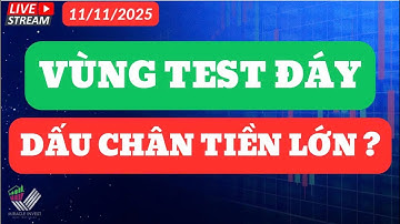 Nhận Định Thị Trường 11/11/2025 |VÙNG TEST ĐÁY - DẤU CHÂN TIỀN LỚN?