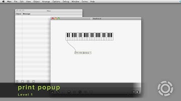 Did You Know #38 (Max 6): print popup