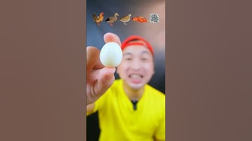 Thumbnail of telur puyuh kecil, imut n enak😋#feed #mukbang #viralvideo