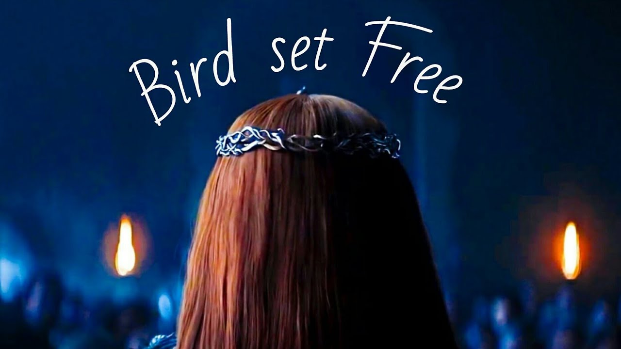 Sansa Stark || Bird set free