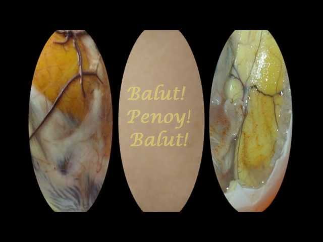Mabuhay Singers - Balut LyricsHD class=