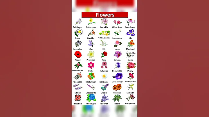 flower name's #flowers