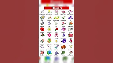 Thumbnail of flower name's #flowers