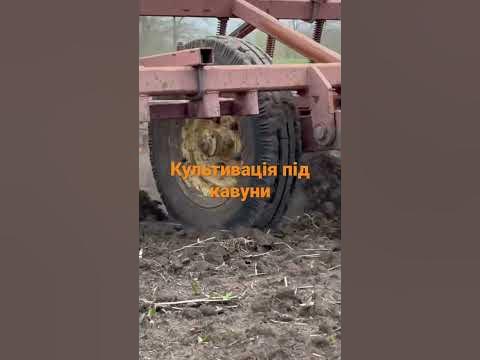Культивація під кавун - YouTube