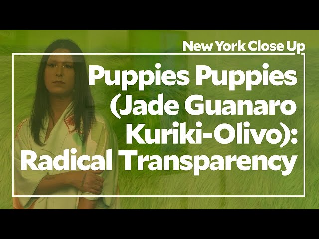 Artist lives in the New Museum during an exhibition (Puppies