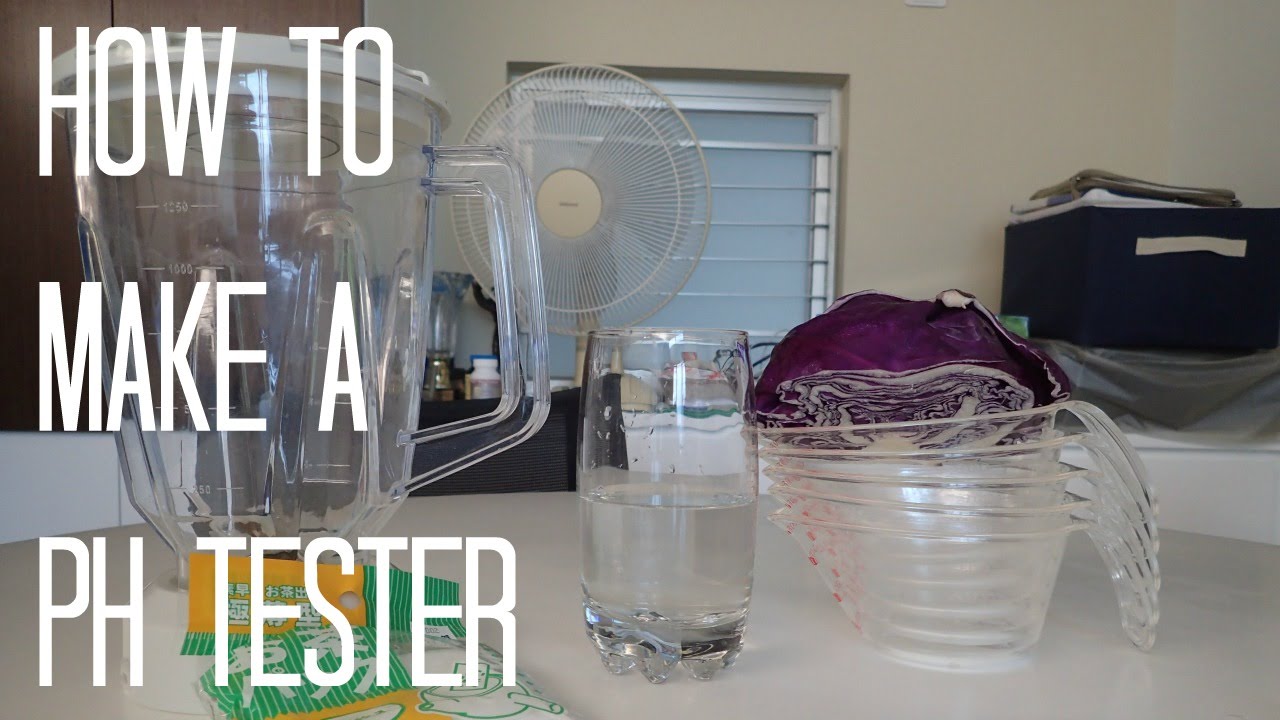 How To Make A pH Tester YouTube