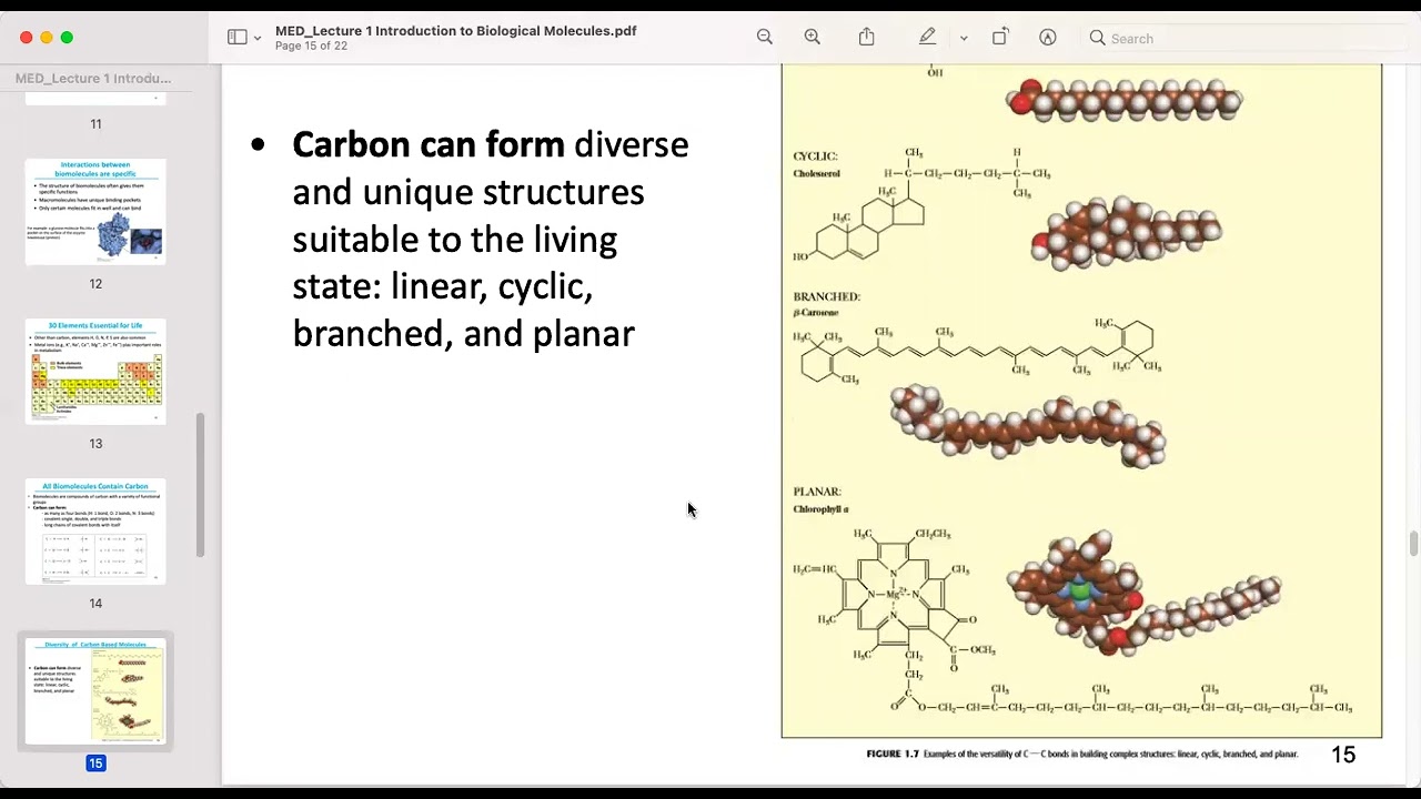 الجزء الثانى محاضرة كيمياء حيوية دكتور عبد الرحمن