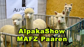 Die Alpaka Show Im Mafz Paaren