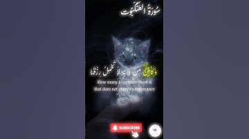 اكتب شيء تؤجر عليه 🤍 🤲🏻 #quran #اسلام #قرآن #راحة_نفسية #سورة_العنكبوت