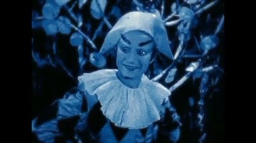 Vagabond - May Leitz (Official Music Video)