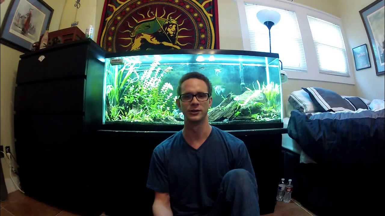 Replacing your Aquarium Substrate YouTube