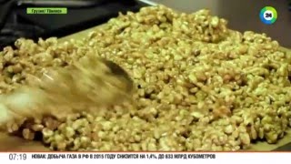 Как приготовить грузинские козинаки Как приготовить грузинские козинаки