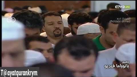 من سورة يوسف / وديع اليمني