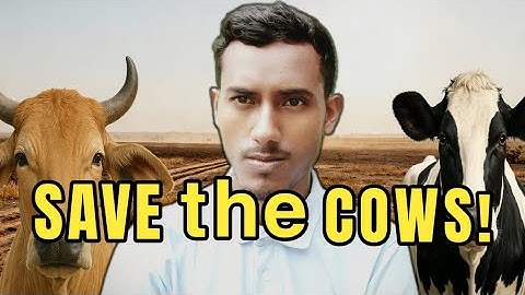 Cows Are in BIG Danger Now? , Explained By Rampriy Thakur. #documentry
