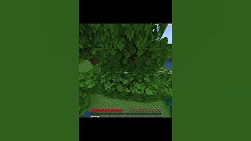 POV: You see a wandering trader (5 new subscribers = special short)