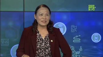 Phương pháp nuôi cá trắm cỏ ở trên lồng bè