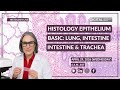 Histology Epithelium Basics: Lung, Kidney, Intestine, Trachea