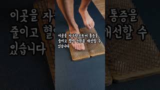 잠들기 전 &#39;이곳&#39;을 3분만 문지르면 허리,무릎 관절 통증이 싹 사라집니다! 비밀 발바닥 혈자리ㅣ연골관리ㅣ무릎통증ㅣ허리통증ㅣ노년건강ㅣ삶의지혜ㅣ오디오북ㅣ